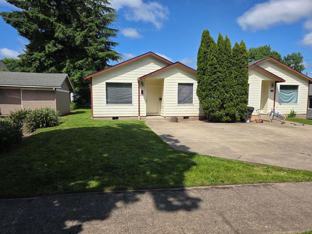 A row of houses with a tree in front of them.