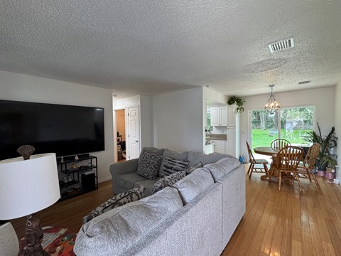 A living room with a grey couch and a television.