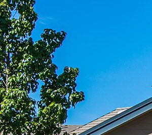 Redstone Ranch Apartments Apartments And Townhomes In Denver Co