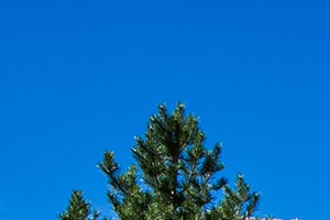 Redstone Ranch Apartments Photo Gallery Apartments In Denver