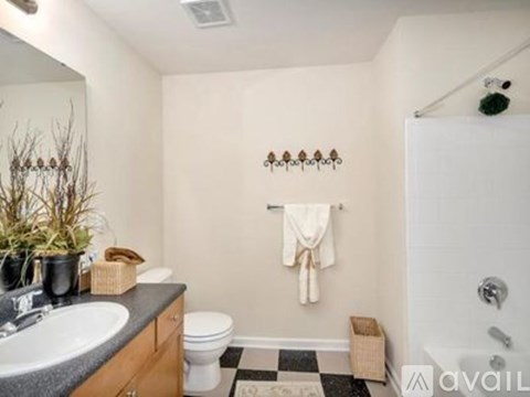 A bathroom with a sink, toilet, and a shower.