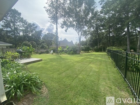 A backyard with a green lawn and trees.