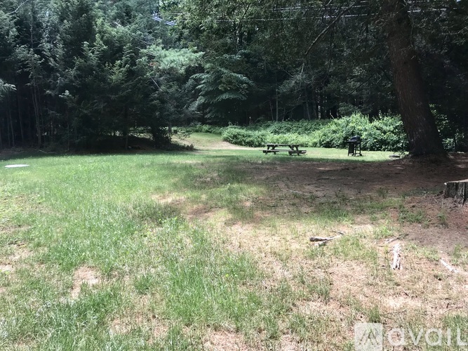 A grassy area with trees and a picnic table.