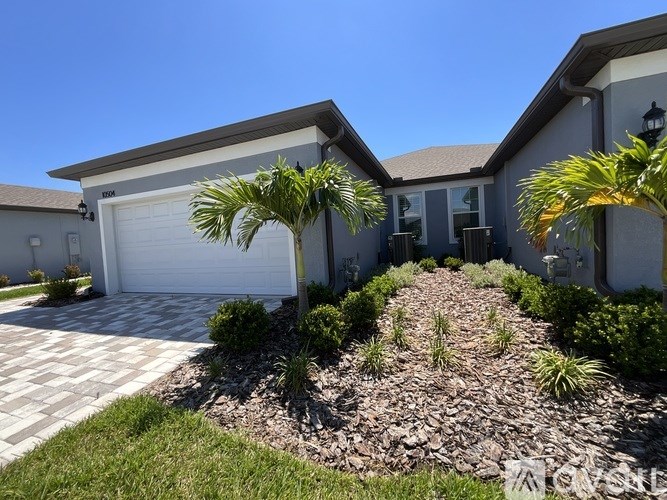 A house with a driveway and a palm tree in front.