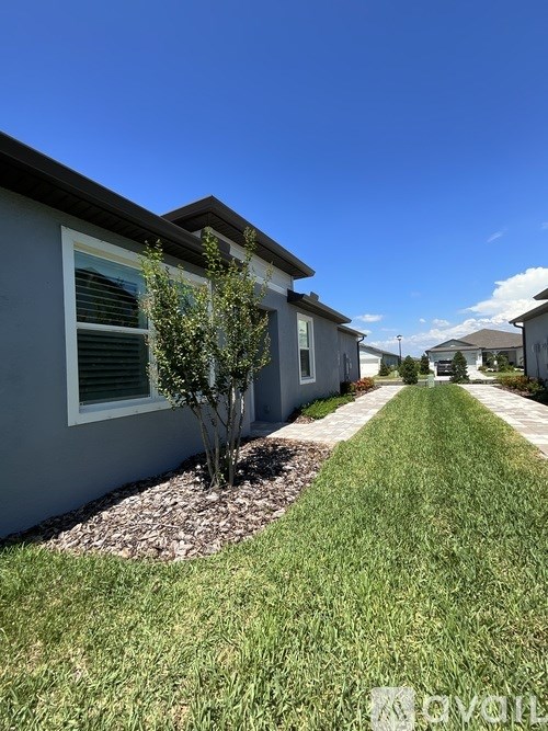 A residential area with houses and a clear sky.