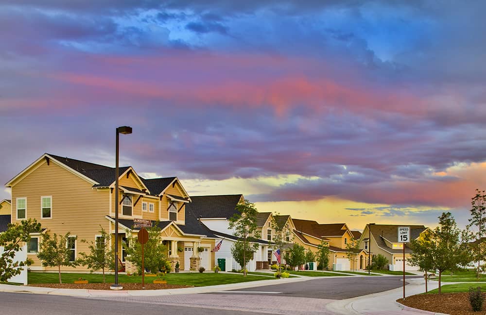 A residential area with houses and a street light.