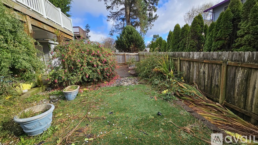 A backyard with a fence, a small garden, and a shed.