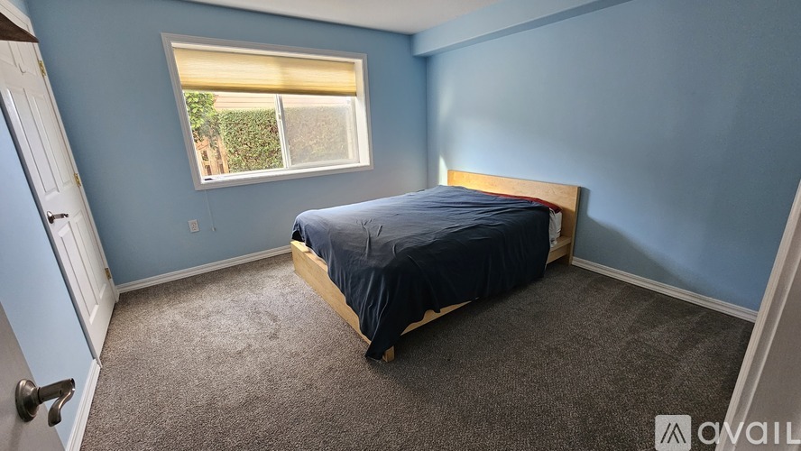 A bedroom with a bed, carpet, and a window.