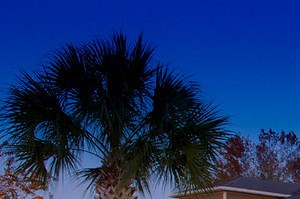 Crestview At Oakleigh Apartments 8990 N Davis Highway