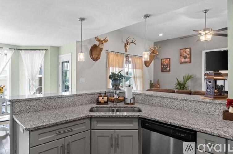 A kitchen with a granite countertop and a deer head mounted on the wall.