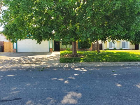 A tree in front of a building with a white garage door.