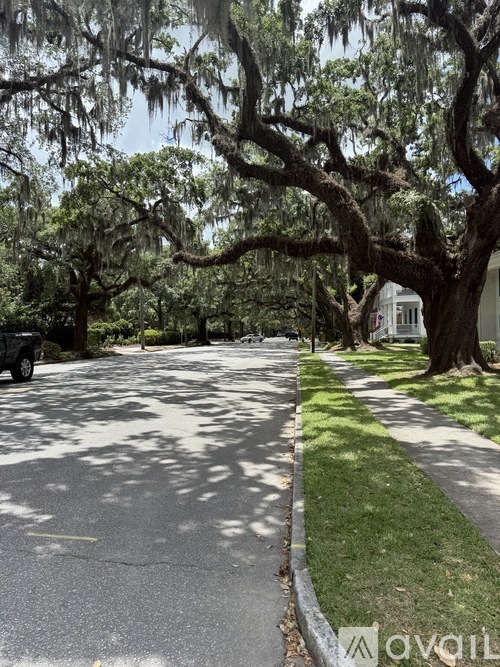 A tree with spanish moss hanging from it's branches.