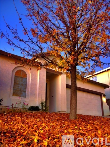A house with a tree in front of it.