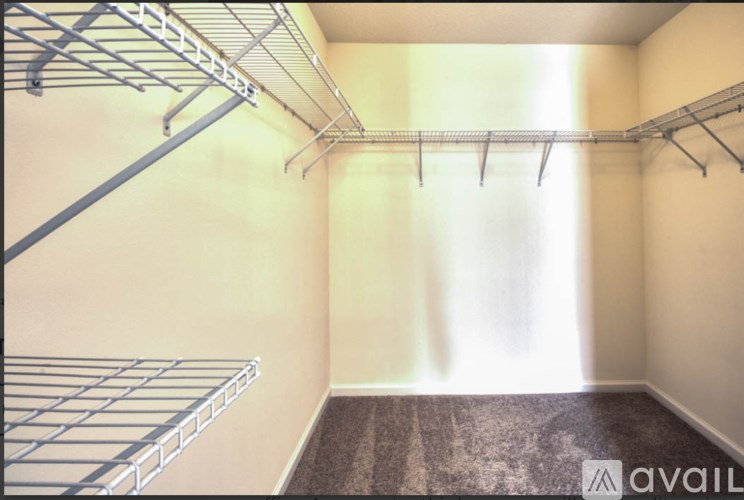 A room with a carpeted floor and a wall-mounted shelving unit.