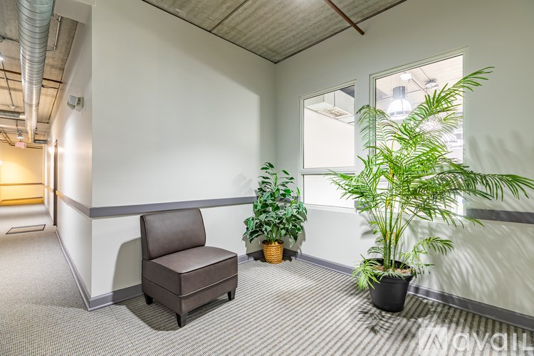 A room with a brown chair, a potted plant, and a window.