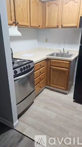 A kitchen with wooden cabinets and a stainless steel dishwasher.