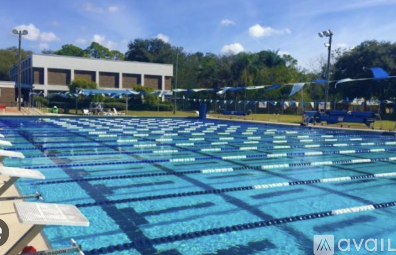 A large swimming pool with lanes marked out for swimmers.