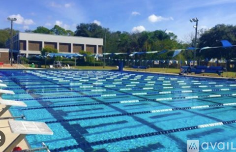 A large swimming pool with lanes marked out for swimmers.