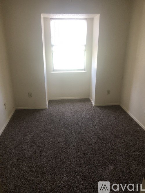 A room with a carpeted floor and a window letting in sunlight.