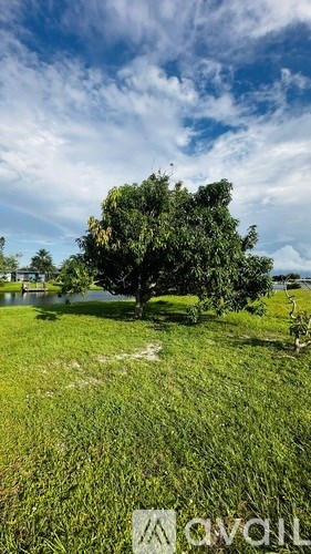 A tree stands in a grassy field under a blue sky with clouds.