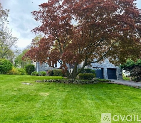 A tree with red leaves is in the foreground of a grassy area.