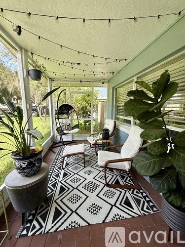 A patio with a black and white rug, a chair, and a potted plant.