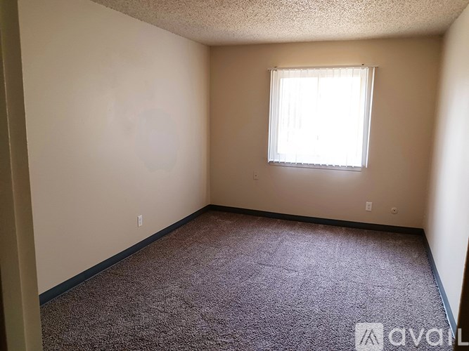 A room with a carpeted floor and a window letting in natural light.