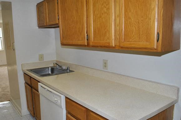 a kitchen with a sink and wooden cabinets