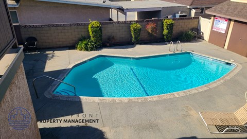 A swimming pool surrounded by a concrete patio and a wall with bushes.