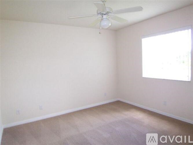 A room with a ceiling fan and a window letting in sunlight.