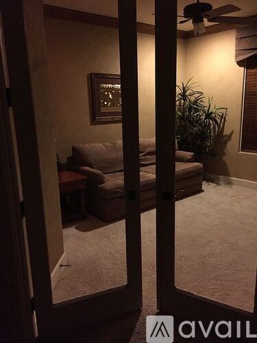 A living room with a couch and a plant.
