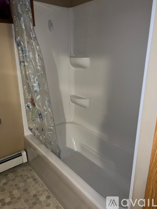 A bathroom with a shower curtain and a shower door.