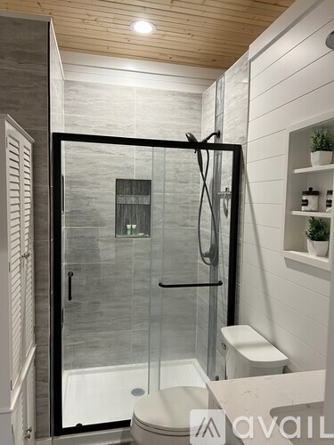 A modern bathroom with a walk-in shower and a toilet.