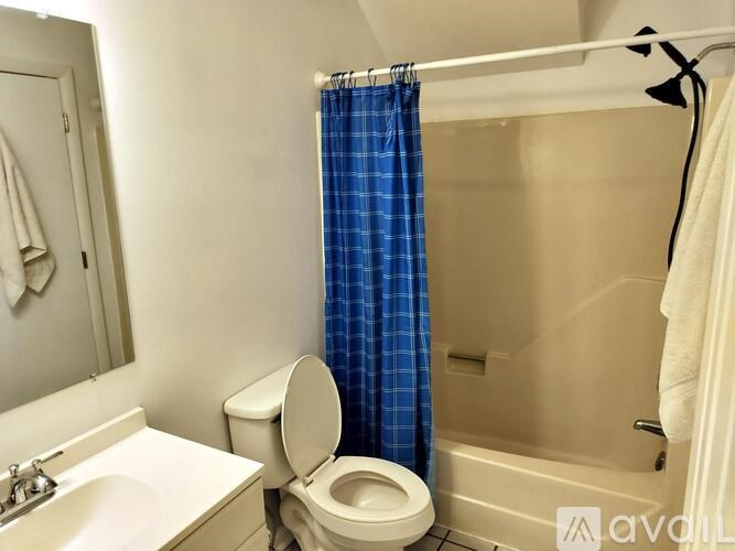 A bathroom with a toilet, sink, and shower curtain.
