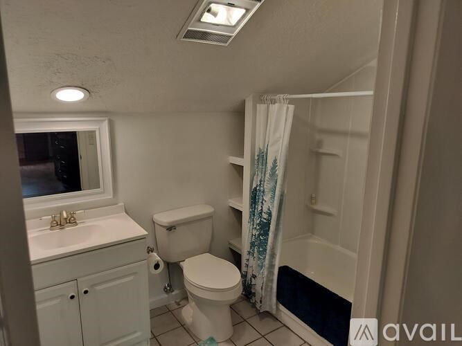 A bathroom with a toilet, sink, and shower.