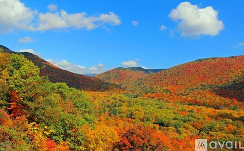 A mountain range covered in trees with autumn foliage.