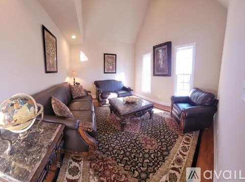 A living room with a rug and a globe on the coffee table.