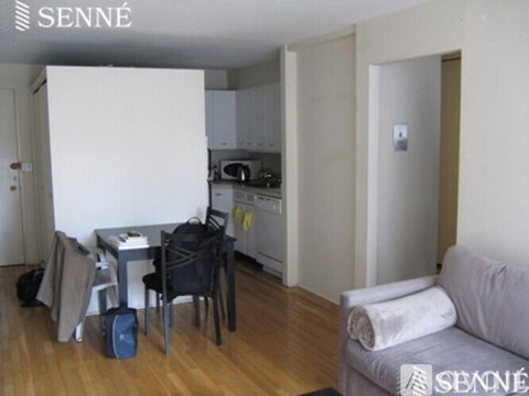 A small apartment with a table and chairs in the living room.