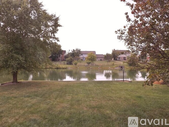 A tree stands in front of a body of water with buildings in the background.