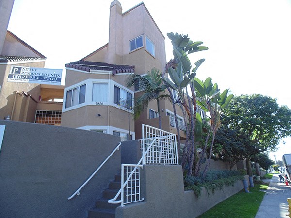 the building in which the apartment is located