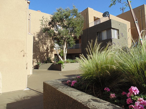 the building in which the apartment is located