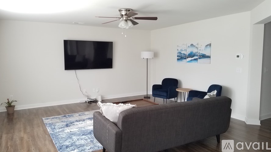 A living room with a grey couch, a television, a ceiling fan, and a rug.