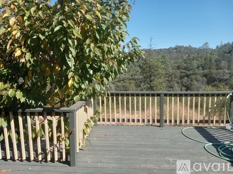 A deck with a railing and a tree in the foreground.