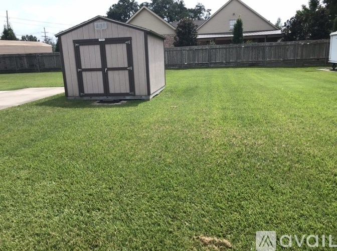 A shed sits in a grassy backyard.