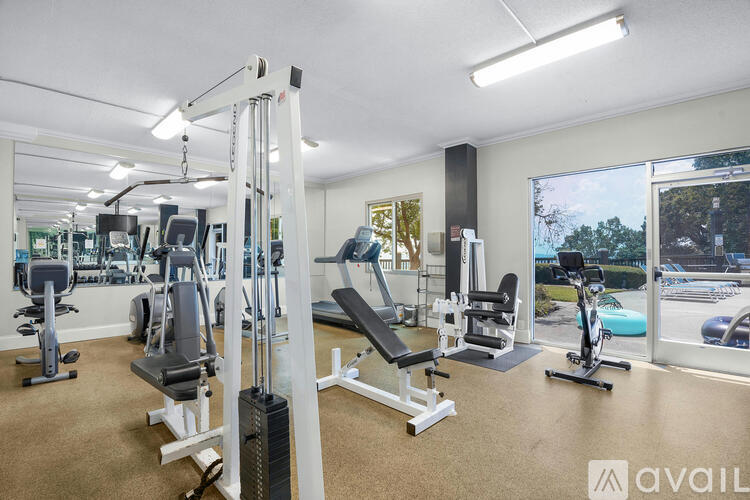 A well-equipped gym with a variety of machines and weights.