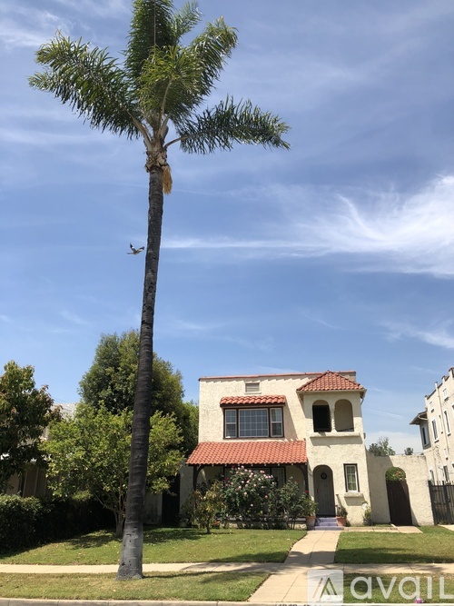 A palm tree stands in front of a house with a red roof.
