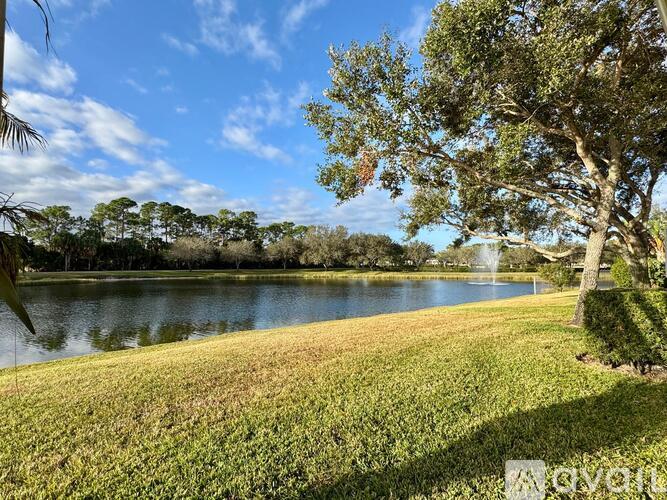 A grassy area with a tree and a body of water in the distance.