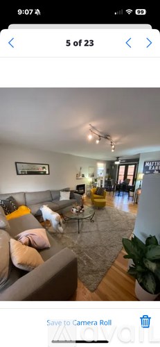 A dog is sitting on a grey couch in a living room.