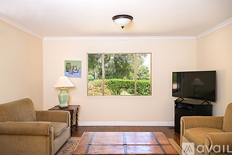 A living room with a couch, a chair, a lamp, a television and a window.