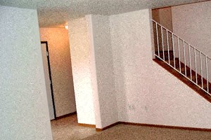 Lower level living room an empty living room with a staircase